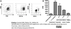Anti Dog CD11b Antibody, clone CA16.3E10 gallery image 4
