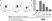 Anti Dog CD11b Antibody, clone CA16.3E10 thumbnail image 4