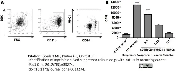 Anti Dog CD11b Antibody, clone CA16.3E10 gallery image 4