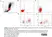 Anti Dog CD11b Antibody, clone CA16.3E10 thumbnail image 5