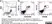 Anti Dog CD11b Antibody, clone CA16.3E10 thumbnail image 6