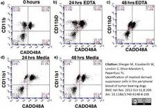 Anti Dog CD11b Antibody, clone CA16.3E10 gallery image 8