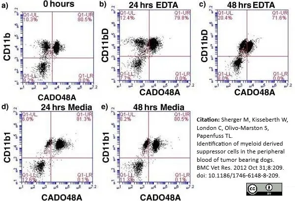 Anti Dog CD11b Antibody, clone CA16.3E10 gallery image 8