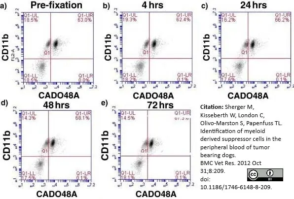 Anti Dog CD11b Antibody, clone CA16.3E10 gallery image 9