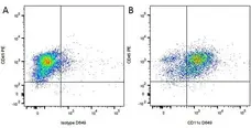 Anti Dog CD11c Antibody, clone CA11.6A1 gallery image 1