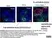 Anti Dog CD11c Antibody, clone CA11.6A1 thumbnail image 4