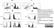 Anti Dog CD18 Antibody, clone CA1.4E9 gallery image 2