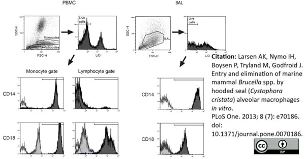Anti Dog CD18 Antibody, clone CA1.4E9 gallery image 2