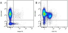 Anti Dog CD18 Antibody, clone CA1.4E9 gallery image 4