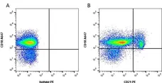 Anti Canine CD21 Antibody, clone CA2.1D6 gallery image 1