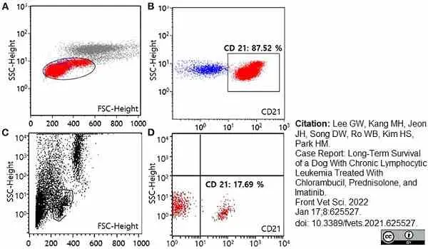 Anti Canine CD21 Antibody, clone CA2.1D6 gallery image 5