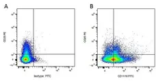 Anti Dog CD25 Antibody, clone P4A10 gallery image 2