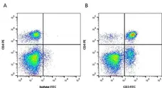Anti Dog CD3 Antibody, clone CA17.2A12 gallery image 2