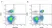 Anti Dog CD3 Antibody, clone CA17.2A12 thumbnail image 2