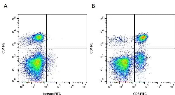 Anti Dog CD3 Antibody, clone CA17.2A12 gallery image 2