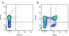 Anti Dog CD3 Antibody, clone CA17.2A12 gallery image 4