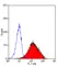 Anti Dog CD34 Antibody, clone 1H6 thumbnail image 1