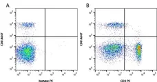 Anti Dog CD4 Antibody, clone YKIX302.9 gallery image 1