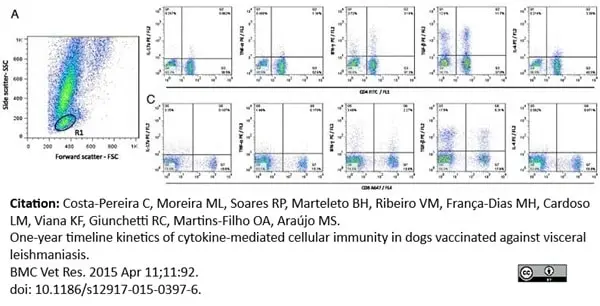 Anti Dog CD4 Antibody, clone YKIX302.9 gallery image 10