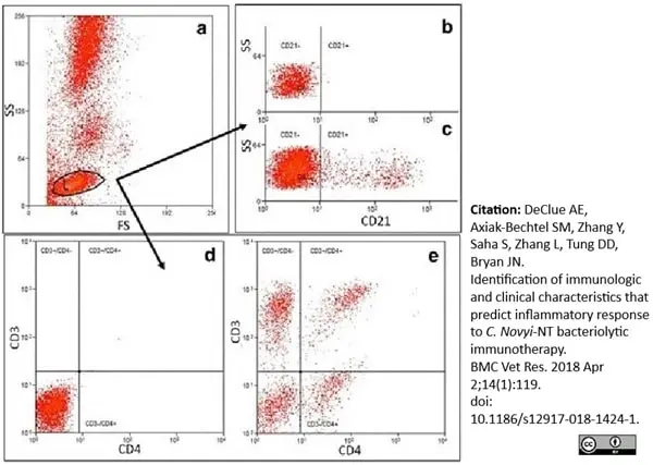 Anti Dog CD4 Antibody, clone YKIX302.9 | Bio-Rad