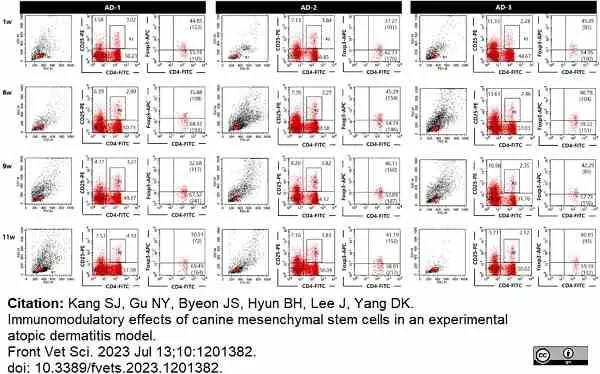 Anti Dog CD4 Antibody, clone YKIX302.9 | Bio-Rad