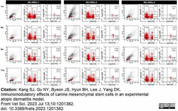 Anti Dog CD4 Antibody, clone YKIX302.9 gallery image 14