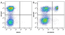 Anti Dog CD4 Antibody, clone YKIX302.9 gallery image 17