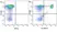 Anti Dog CD4 Antibody, clone YKIX302.9 thumbnail image 19