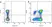 Anti Dog CD4 Antibody, clone YKIX302.9 thumbnail image 4