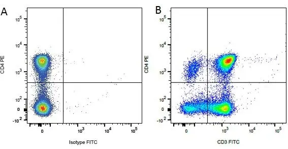 Anti Dog CD4 Antibody, clone YKIX302.9 gallery image 4