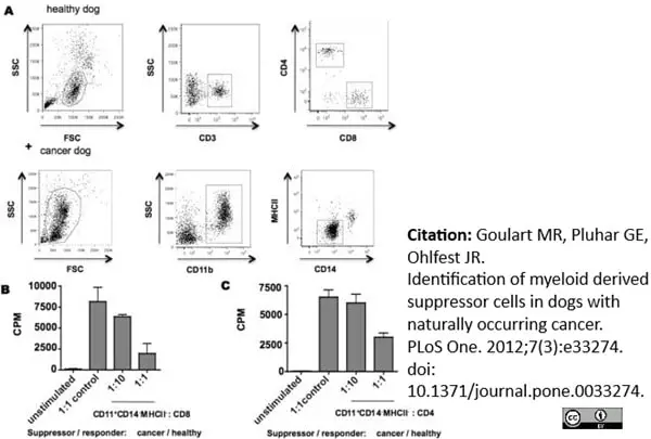 Anti Dog CD4 Antibody, clone YKIX302.9 | Bio-Rad