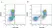 Anti Dog CD44 Antibody, clone YKIX337.8.7 thumbnail image 1