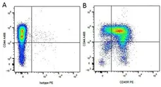 Anti Dog CD44 Antibody, clone YKIX337.8.7 gallery image 2