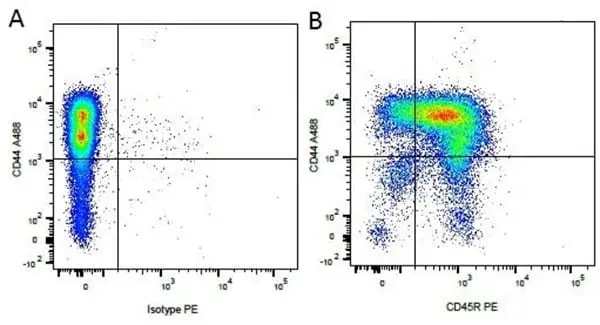 Cytotoxin / Radiophobia【輸入盤】 STING (E9X7F) Rabbit Monoclonal Antibody (Alexa Fluor® 488
