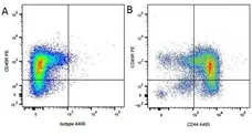 Anti Dog CD44 Antibody, clone YKIX337.8.7 gallery image 3