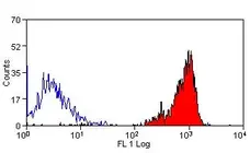 Anti Dog CD45 Antibody, clone YKIX716.13 gallery image 4