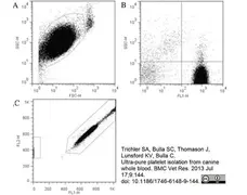 Anti Dog CD45 Antibody, clone YKIX716.13 gallery image 5