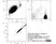 Anti Dog CD45 Antibody, clone YKIX716.13 thumbnail image 5