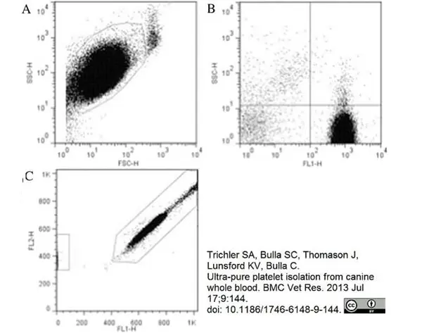 Anti Dog CD45 Antibody, clone YKIX716.13 gallery image 5