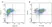 Anti Dog CD45 Antibody, clone YKIX716.13 thumbnail image 6