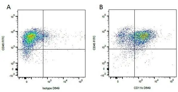 Anti Dog CD45 Antibody, clone YKIX716.13 gallery image 6