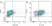 Anti Dog CD45 Antibody, clone YKIX716.13 thumbnail image 7
