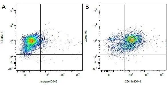 Anti Dog CD45 Antibody, clone YKIX716.13 gallery image 7