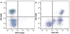 Anti Dog CD45 Antibody, clone YKIX716.13 gallery image 9