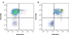 Anti Dog CD45R Antibody, clone YKIX753.22.2 gallery image 1