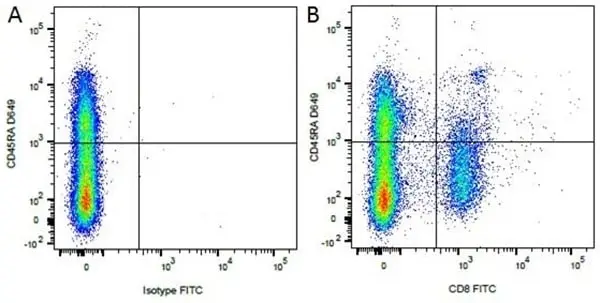 Anti Dog CD45RA Antibody, clone CA4.1D3 gallery image 3