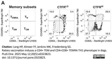 Anti Dog CD45RA Antibody, clone CA4.1D3 gallery image 4