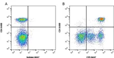 Anti Dog CD5 Antibody, clone YKIX322.3 gallery image 1