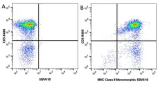 Anti Dog CD5 Antibody, clone YKIX322.3 gallery image 12