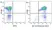 Anti Dog CD5 Antibody, clone YKIX322.3 thumbnail image 12